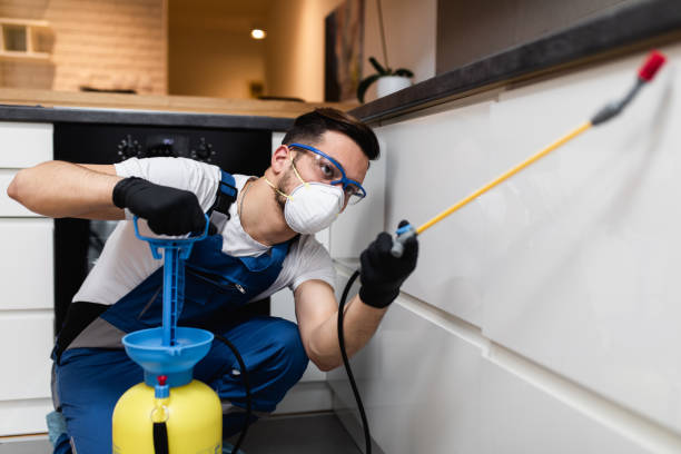 Reliable Charlotte, MI Pest Control Solutions