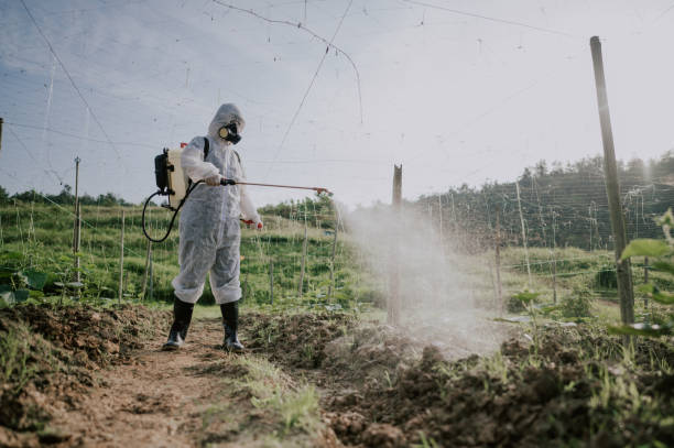 Best Mosquito Control Services  in Charlotte, MI
