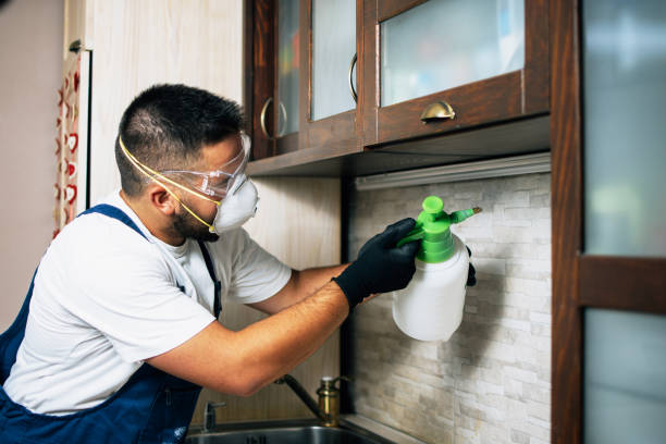 Best Bed Bug Extermination  in Charlotte, MI