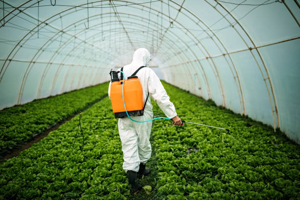 Best Residential Pest Control  in Charlotte, MI