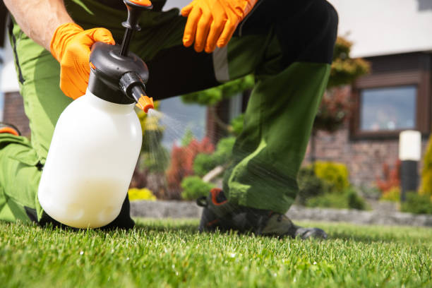 Best Pest Control Near Me  in Charlotte, MI