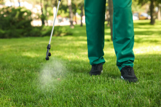 Best Ant Control Services  in Charlotte, MI