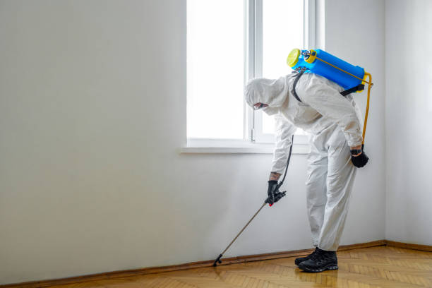 Best Pest Removal Services  in Charlotte, MI