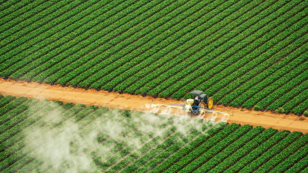 Best Commercial Pest Control Services  in Charlotte, MI