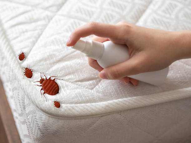 Best Affordable Pest Control Services  in Charlotte, MI