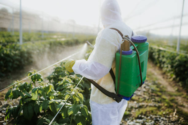 Best Pest Inspection Near Me  in Charlotte, MI
